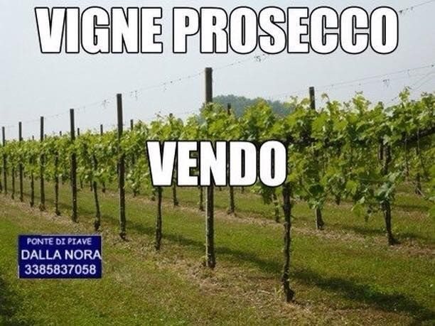 Vendesi Azienda Agricola A Pramaggiore 200000 Annuncio