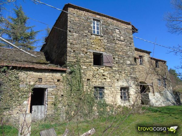 Royal case vinovo