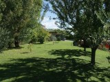 Immobili servizi immobiliari
